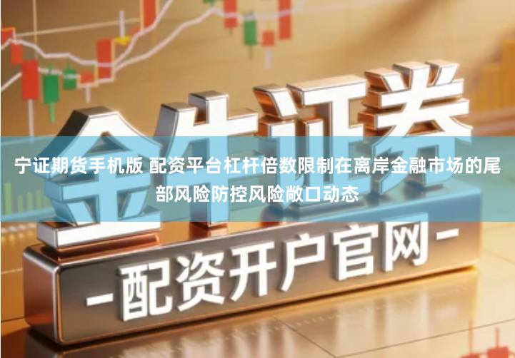 宁证期货手机版 配资平台杠杆倍数限制在离岸金融市场的尾部风险防控风险敞口动态