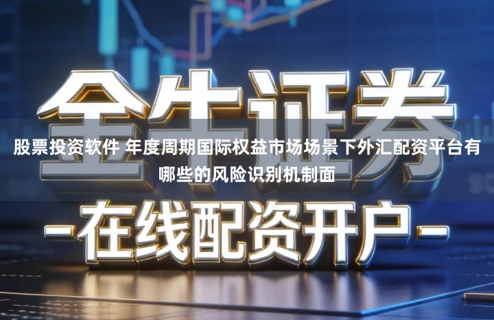 股票投资软件 年度周期国际权益市场场景下外汇配资平台有哪些的风险识别机制面