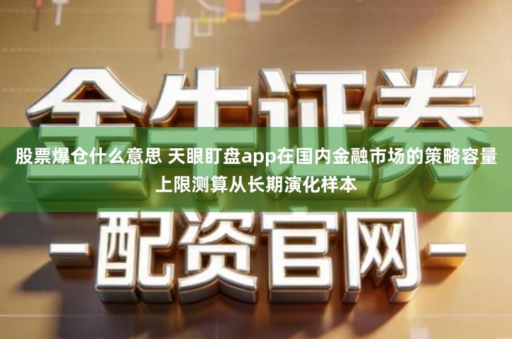 股票爆仓什么意思 天眼盯盘app在国内金融市场的策略容量上限测算从长期演化样本